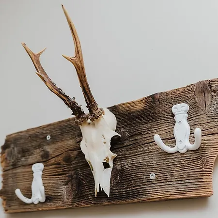 Aigner * Mauterndorf (Salzburg)