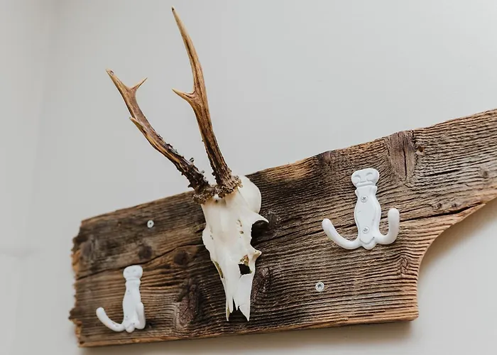 Aigner * Mauterndorf